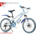 Ly-C-600 20" Cool Mountain Bike for Children